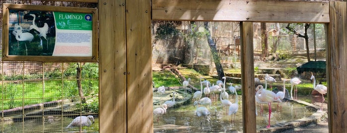 Hayvanat Bahçesi Çocuk Parkı is one of Antalya.
