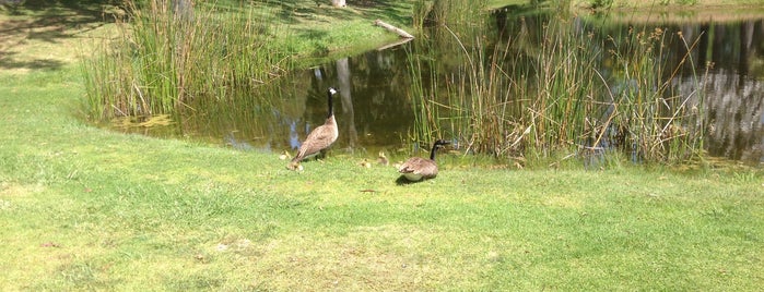 Twin Lakes Golf Course is one of Golf.