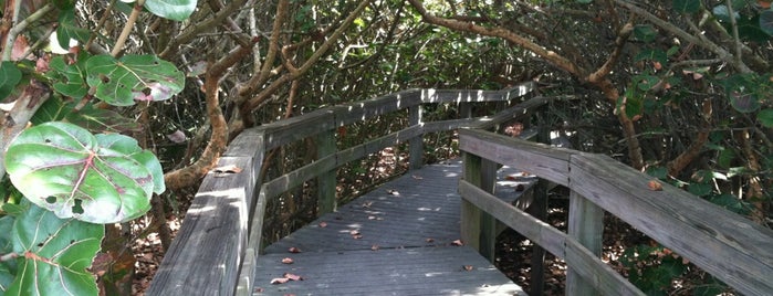 Loggerhead Park Preserve is one of Florida parks.
