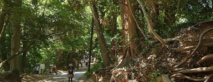 自然研究路 1号路 is one of 東日本の山-秩父山地.