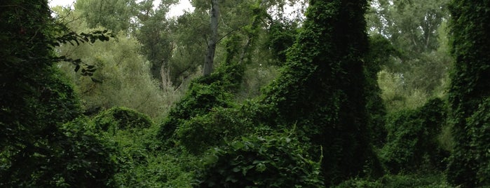 Parc de la Mitjana is one of Lleida.