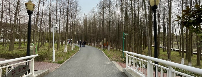 Pujiang Country Park is one of Venues needing updates.