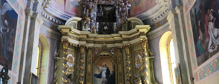 Собор Вознесения Пресвятой Девы Марии (Францисканский костёл) is one of Пинск.