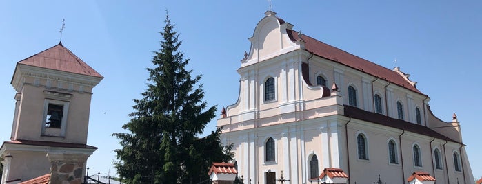 Костел Святого Иоанна is one of Касцёлы Беларусі.