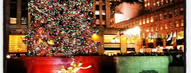 Ice Skating Rinks in New York City