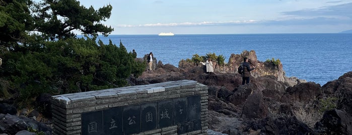 城ヶ崎つり橋 (門脇吊橋) is one of 伊豆.