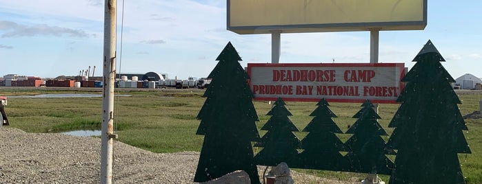 Prudhoe Bay National Forest is one of Documerica.