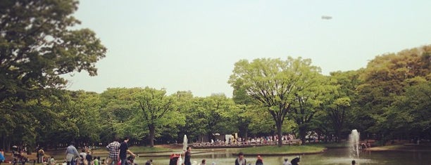 Yoyogi Park is one of Tokyo.