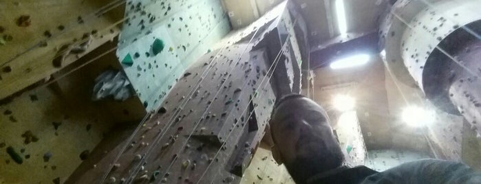 Top Rock is one of Climbing Gyms.