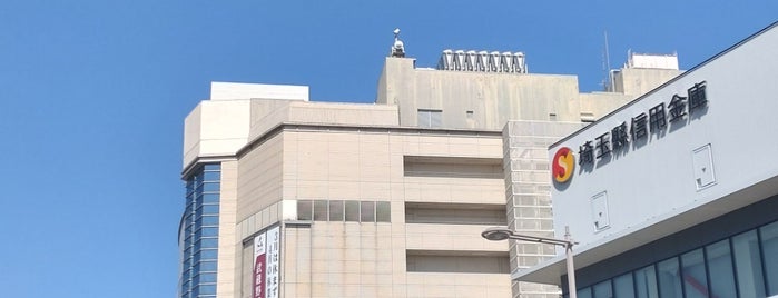Yagihashi is one of 日本の百貨店 Department stores in Japan.