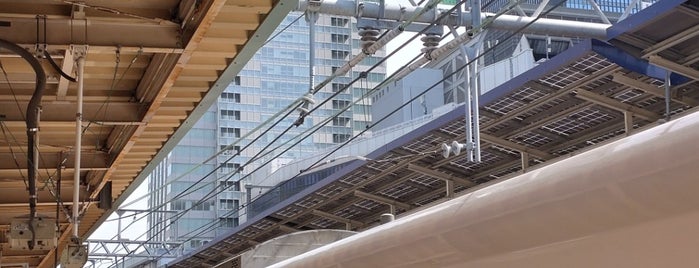 JR Platforms 7-8 is one of 東京駅.