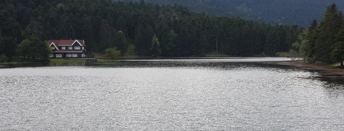 bolu gölcük is one of Tempat yang Disukai Koray.