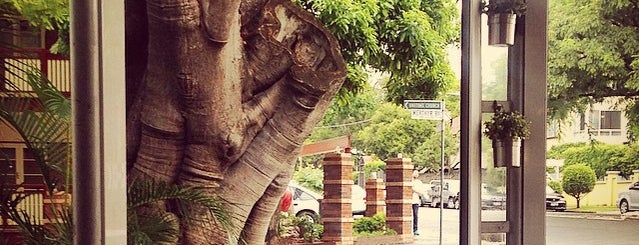 The Moray Cafe is one of Trending Cafes: Brisbane and Beyond.