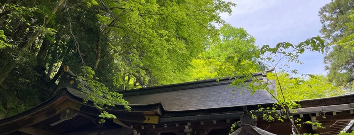 Kifune-Jinja Shrine is one of Tokyo/Kyoto.