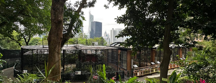 Hong Kong Zoological and Botanical Gardens is one of สถานที่ที่ Christopher ถูกใจ.