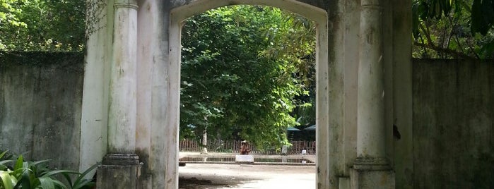 Parquinho do Jardim Botânico is one of Lugares favoritos de Steinway.