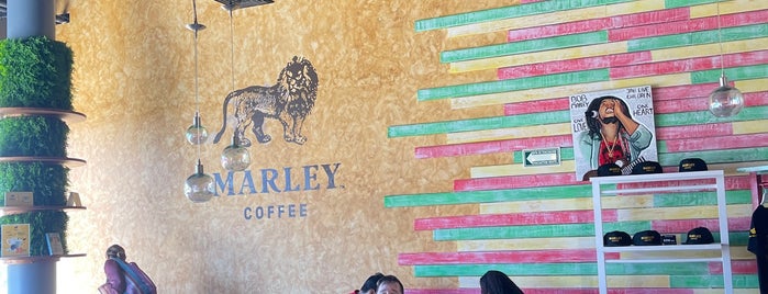 Marley Coffee is one of Mexico.