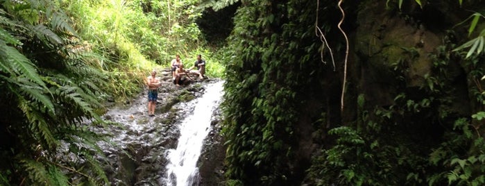 Maunawili Falls Trail is one of Hawai'i Essentials.