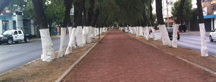 Av. De los Jinetes is one of Tempat yang Disukai Maria Isabel.