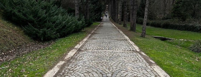 Atatürk Arboretum Göl Kenarı is one of Ist-5.