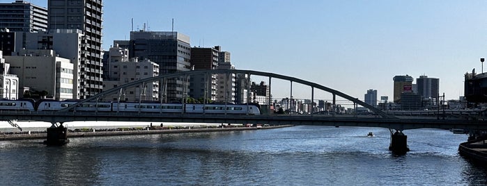 Ryogoku Bridge is one of 橋/陸橋.