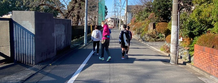 東京学芸大学附属 世田谷中学校 is one of 世田谷の公立中学校.