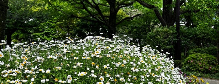 Yokoamicho Park is one of Tokyo - II (Sumida/Taito/Koto, etc.).