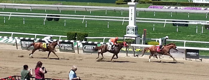 Belmont Park Racetrack is one of Best Horse Tracks in America.
