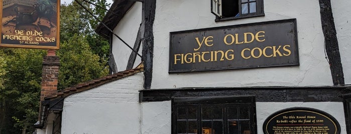 Ye Olde Fighting Cocks is one of Londres.