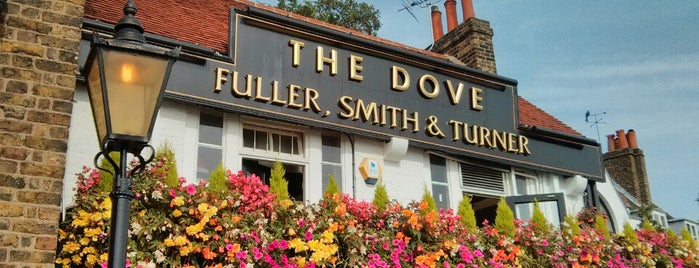 The Dove is one of Spots in London.