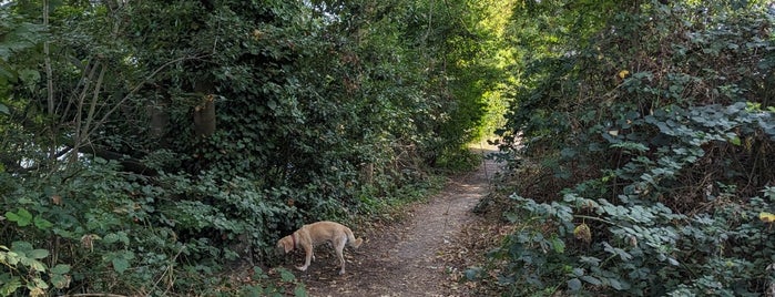 Thames Path is one of Tempat yang Disukai Magda.