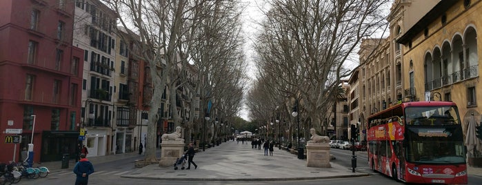 Font de les Tortugues is one of Palma4sq.