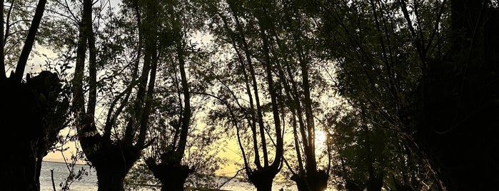 Işıklı Gölü is one of Uşak.