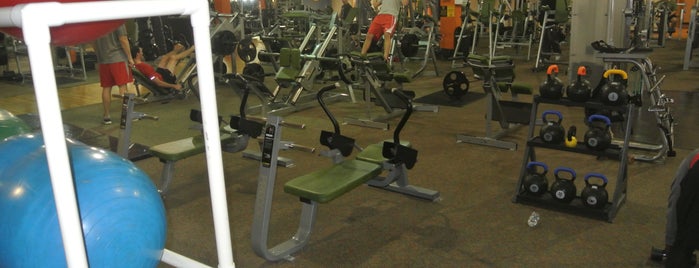 Gold's Gym is one of HMHLT14.