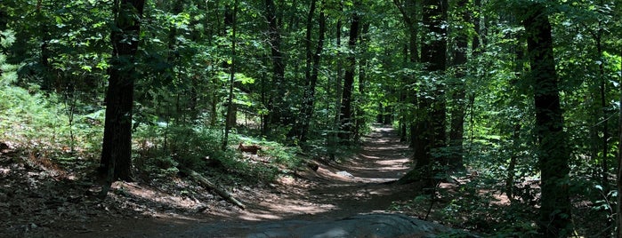Wilson Mountain Reservation is one of Parks And Explorations.