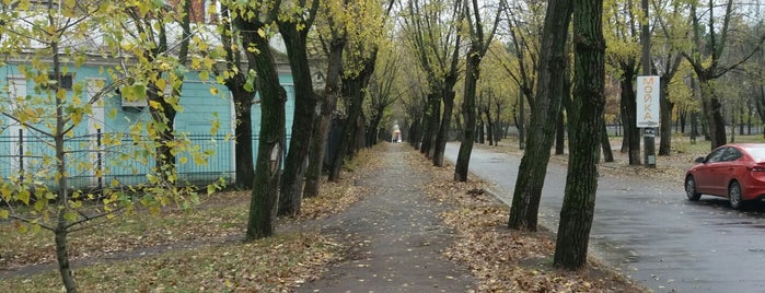 Парк ДВРЗ is one of Парки.