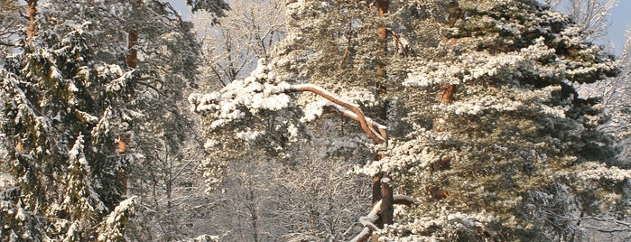 Ogres dabas parks "Zilie kalni" is one of Lugares favoritos de Liene.