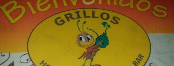 Grillos is one of Lugares favoritos de Violeta.