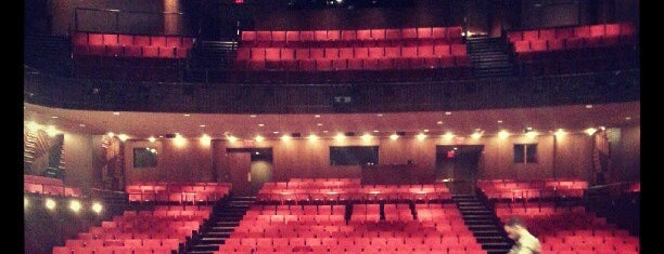 NYU Skirball Center for Performing Arts is one of NYU Campus Tour.