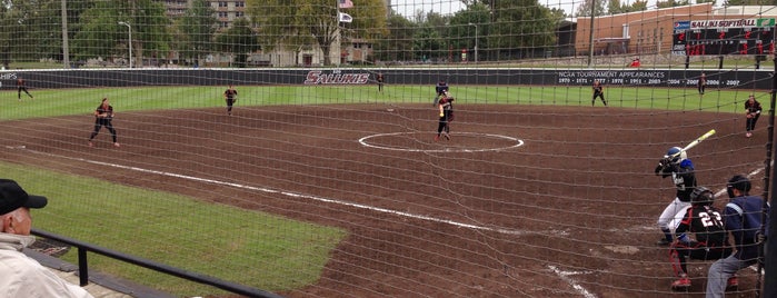 SIU Carbondale Softball Field is one of Carbondale.