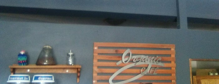 Organic Café is one of Do: Puerto Vallarta ☑️.