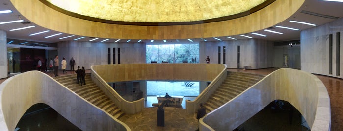 Museo de Arte Moderno is one of Museos.