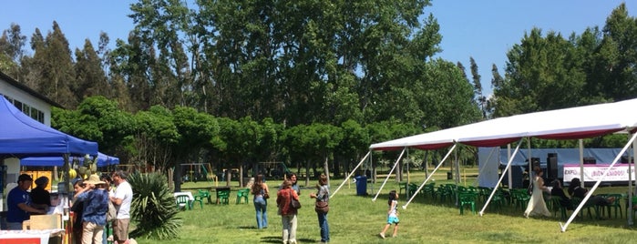 Camping Millantú is one of Francisca'nın Beğendiği Mekanlar.