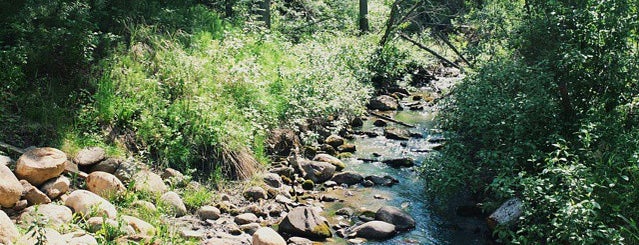 Birchwood Trail is one of Ruth'un Beğendiği Mekanlar.