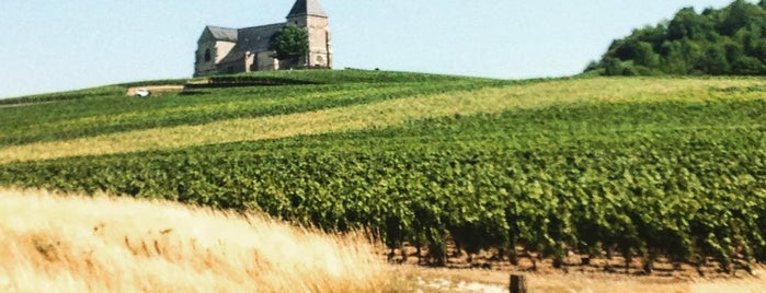 Chateau de Pierry is one of Wineries.