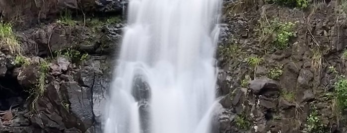 Waimea Valley Waterfall is one of oahu.
