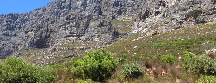 Table Mountain National Park is one of Bucket List.