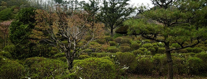 秋保大滝植物園 is one of Miyagi Prefecture.