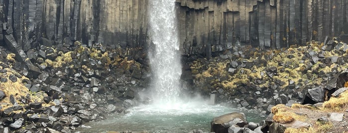 Svartifoss is one of 2019 Iceland Ring Road.