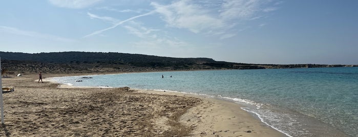 Dipkarpaz  Halk Plajı is one of Cyprus.